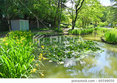 神奈川縣橫濱市青葉區藤岡市藤岡公園 神奈川縣橫濱市青葉區藤岡市藤岡公園 60599050