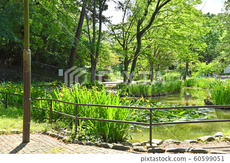 神奈川縣橫濱市青葉區藤岡市藤岡公園 神奈川縣橫濱市青葉區藤岡市藤岡公園 60599051
