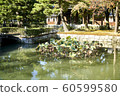 The streets of Kyoto 60599580