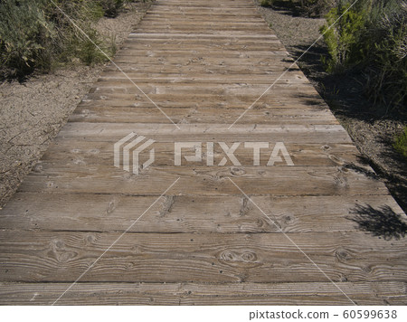 Away with old wooden beams between bushes Away with old wooden beams between bushes 60599638