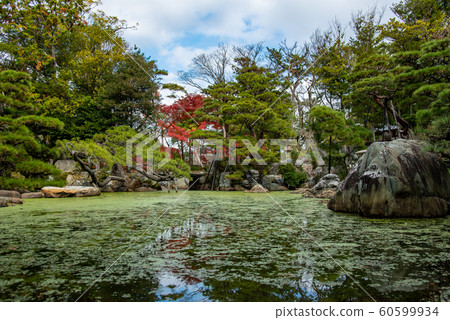 Public exhibition in the autumn of Moroto Garden in Kuwana, Mie Prefecture 60599934