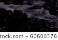 Night  60600376