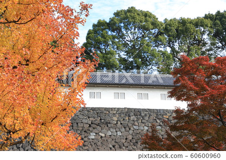 Autumn leaves of the Imperial Palace Autumn leaves of the Imperial Palace 60600960