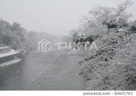 Winter Snow Winter Scene River Snow Cover Gray Snow Scene 60601761