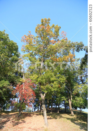 Autumn park Autumn park 60602523
