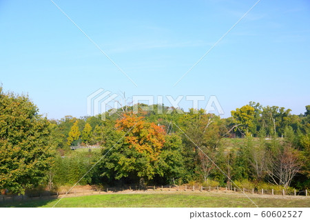 Autumn park Autumn park 60602527