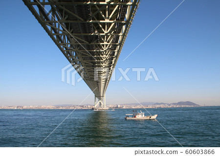 明石海峽大橋 明石海峽大橋 60603866