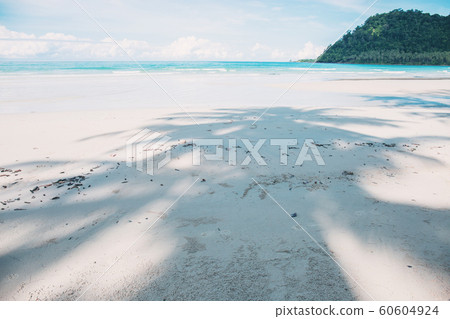 Shadow of palm tree on beach. 60604924