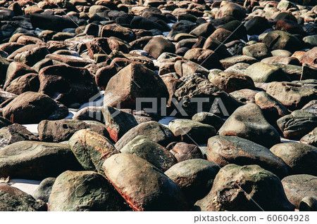 Rocks on shore with texture. Rocks on shore with texture. 60604928