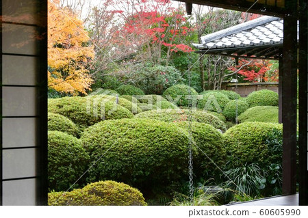深秋的定山閣 深秋的定山閣 60605990