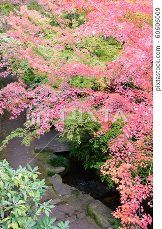 深秋的定山閣 60606009