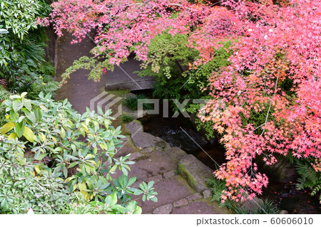 深秋的定山閣 深秋的定山閣 60606010