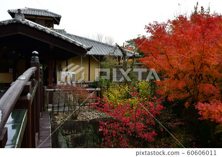 深秋的定山閣 60606011