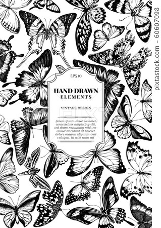 Card design with black and white papilio ulysses, morpho menelaus, graphium androcles, morpho rhetenor cacica, papilio demoleus, cethosia biblis, papilio antimachus, alcides agathyrsus, ornithoptera 60607098