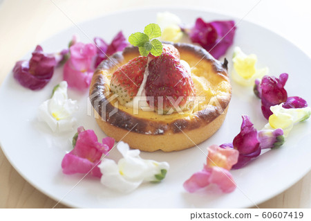 Edible flower Edible flower Hana Edible tart dish Food Food Colorful 60607419