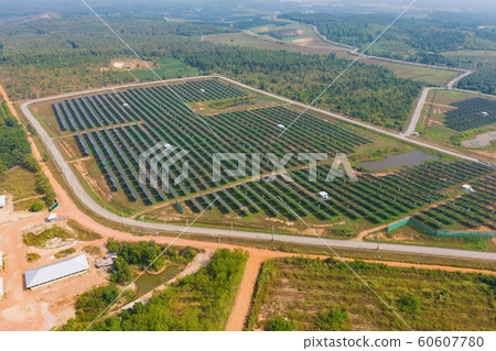 Aerial view of solar panels or solar cells on the 60607780