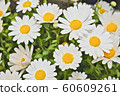 Margaret oil painting 60609261