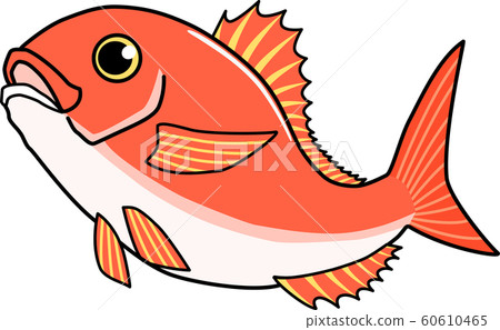 Illustration of a bouncing sea bream 60610465
