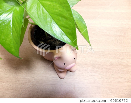 修復內部綠色鍋泥 修復內部綠色鍋泥 60610752