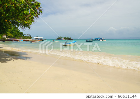 Ships anchored in the small port of Cayo Levantado 60611144
