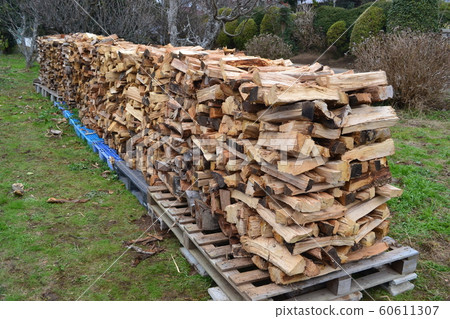Stacked firewood Stacked firewood 60611307