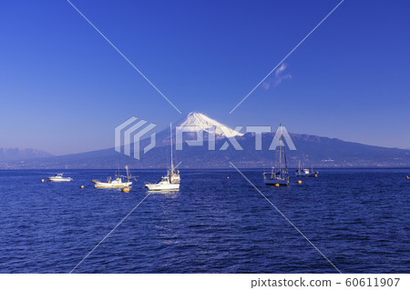 （靜岡）遊艇和富士山在駿河灣 60611907