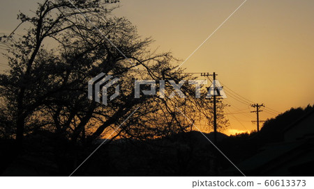 Lonely dusk 60613373