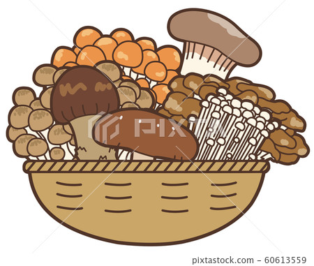 七種蘑菇在籃子裡的插圖 60613559