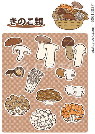 在圖表中總結了 11 種蘑菇的插圖 60613837