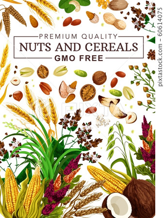 Organic nuts, cereal grains, raw super food 60614075