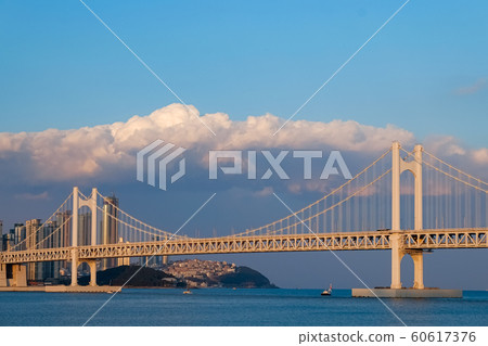Diamond Bridge(Gwangan Bridge) in Busan,Korea Diamond Bridge(Gwangan Bridge) in Busan,Korea 60617376