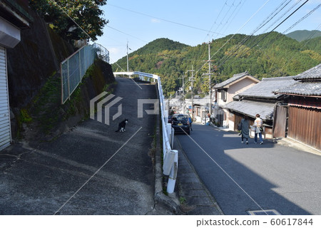 Hase Temple 60617844