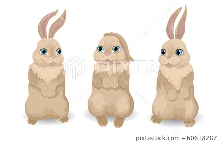 Three brownlight bunnies are tucked up paws. Smiling and talking. Vector Isolated Characters Three brownlight bunnies are tucked up paws. Smiling and talking. Vector Isolated Characters 60618287