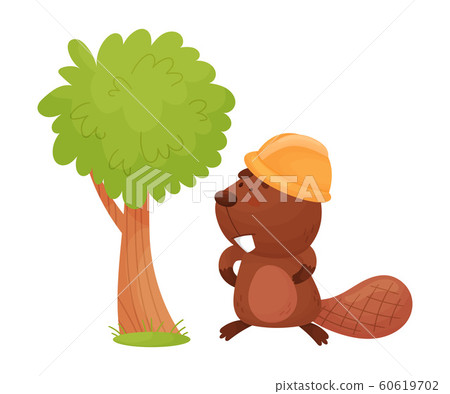 Busy Beaver Standing Near the Tree Wearing Helmet Vector Illustration Busy Beaver Standing Near the Tree Wearing Helmet Vector Illustration 60619702