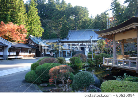 大遊山西城寺秋(神奈川縣南橋寺)秋葉 大遊山西城寺秋(神奈川縣南橋寺)秋葉 60620094