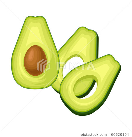 Realistic Fresh Avocado Fruit Isolated on White Background Realistic Fresh Avocado Fruit Isolated on White Background 60620194