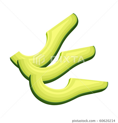 Realistic Fresh Avocado Fruit Isolated on White Background Realistic Fresh Avocado Fruit Isolated on White Background 60620214