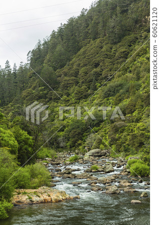 Karangahake Valley, New Zealand Karangahake Valley, New Zealand 60621120