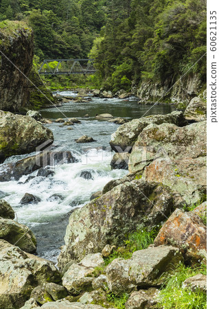 新西蘭Karangahake谷 60621135