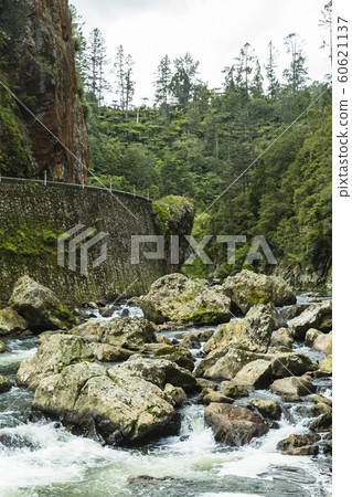 Karangahake Valley, New Zealand Karangahake Valley, New Zealand 60621137