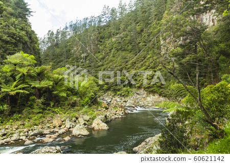 Karangahake Valley, New Zealand Karangahake Valley, New Zealand 60621142