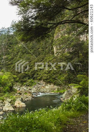 Karangahake Valley, New Zealand Karangahake Valley, New Zealand 60621143