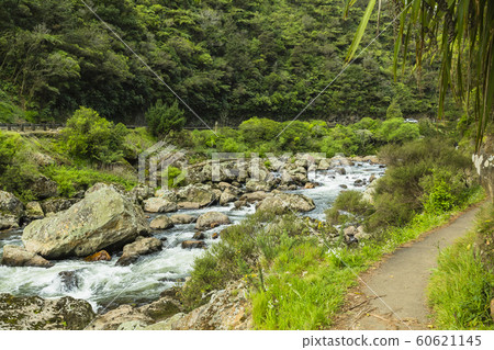 Karangahake Valley, New Zealand Karangahake Valley, New Zealand 60621145