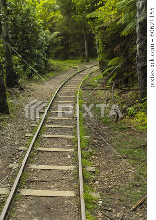 Karangahake Valley, New Zealand 60621155