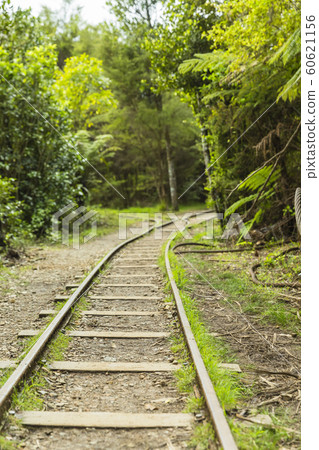 Karangahake Valley, New Zealand 60621156