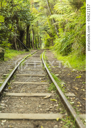 Karangahake Valley, New Zealand 60621157