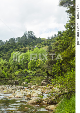 Karangahake Valley, New Zealand Karangahake Valley, New Zealand 60621160