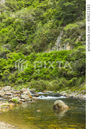 Karangahake Valley, New Zealand Karangahake Valley, New Zealand 60621161