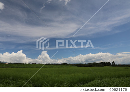 Summer sky 2018 Summer sky 2018 60621176