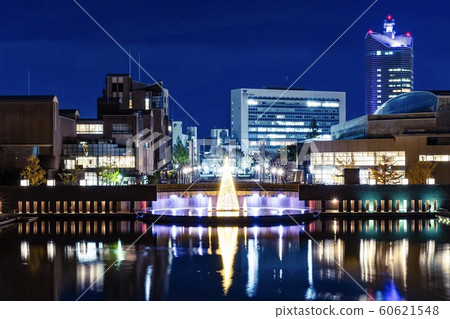 夜景 60621548